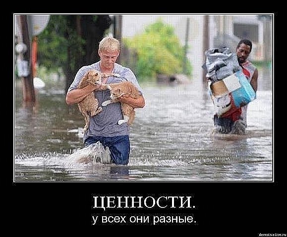 http://cs9394.vkontakte.ru/u6152561/104065127/x_1c7f2a83.jpg